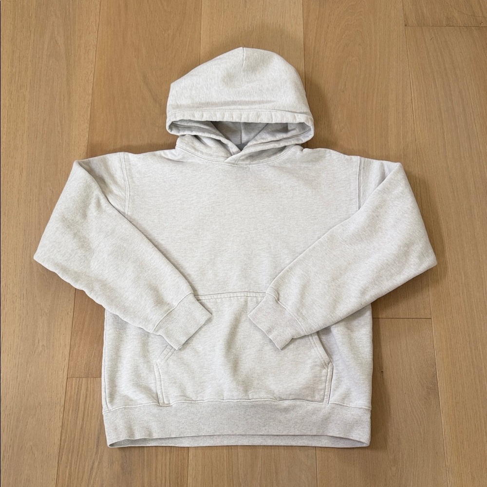 Aritzia Tna CozyAF Hoodie